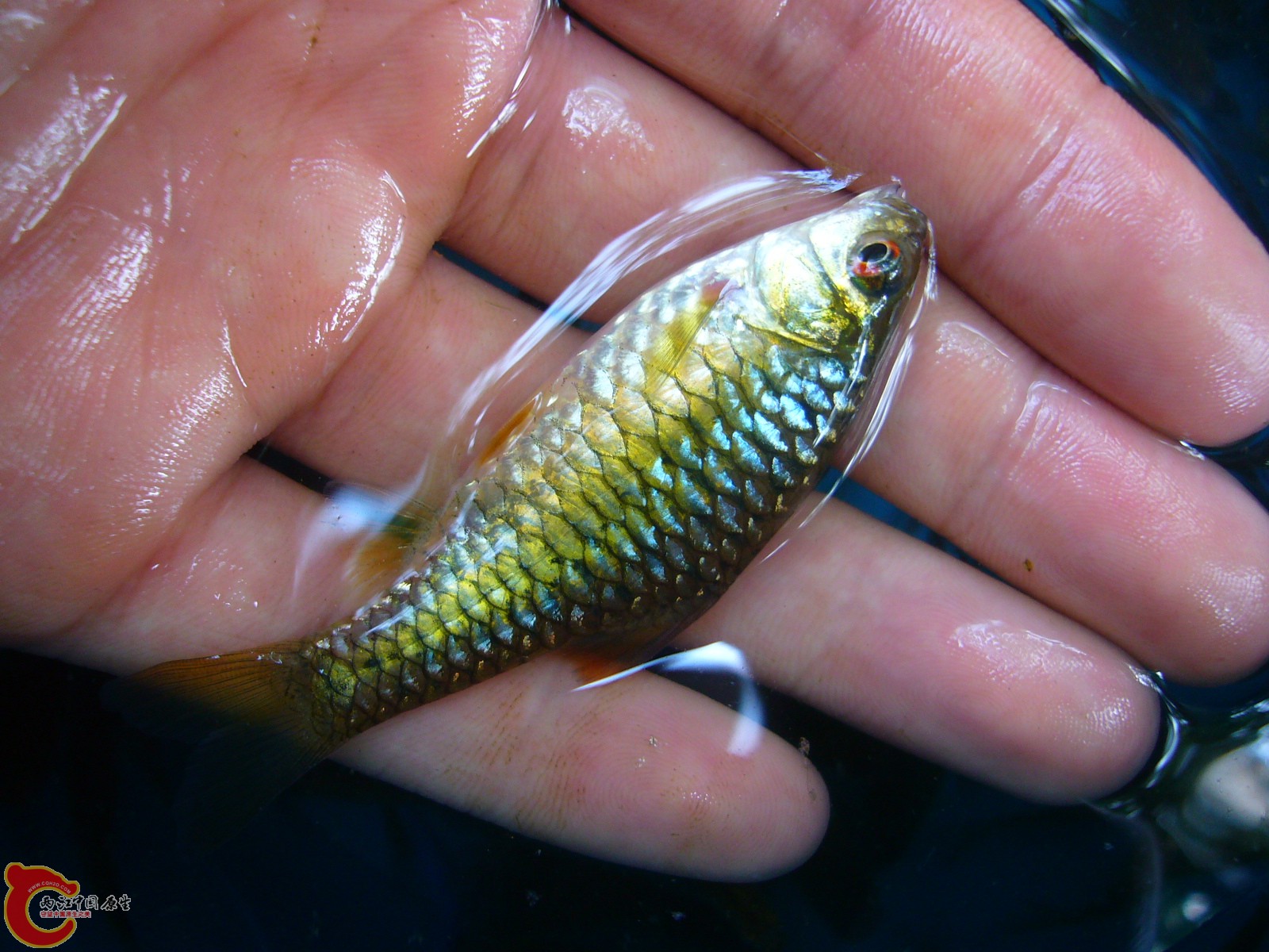 P1100244.JPG