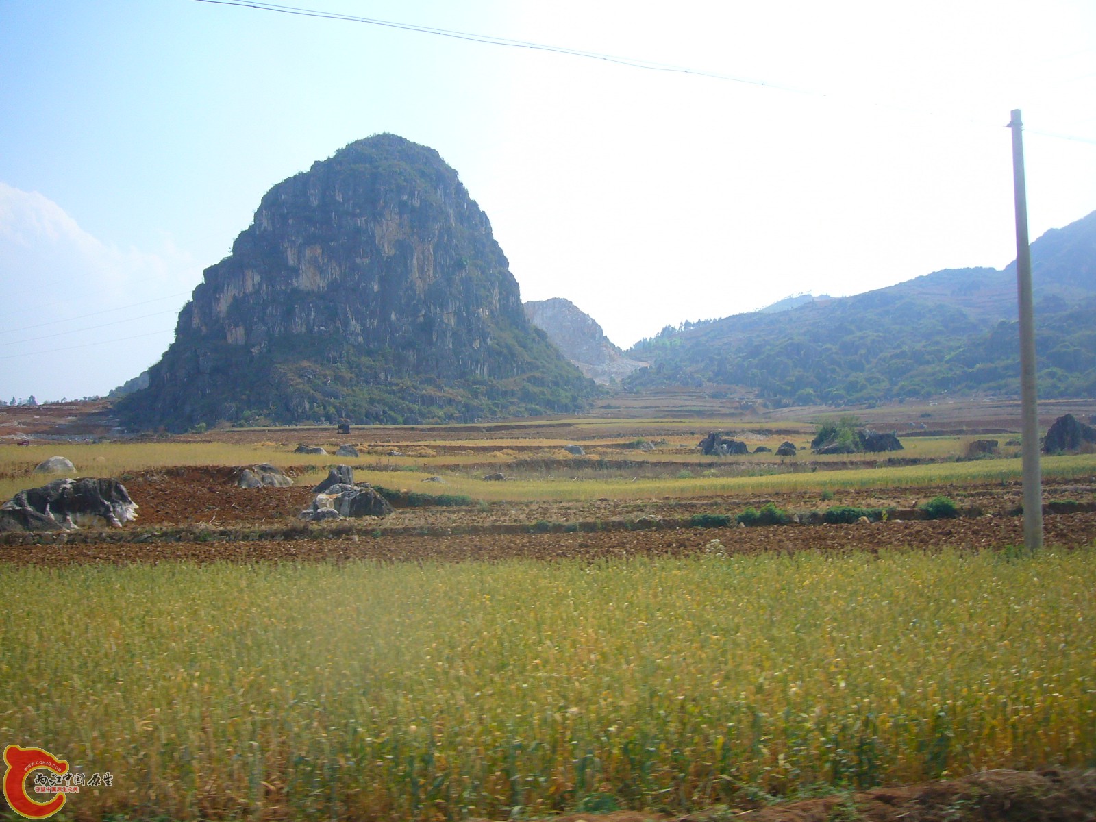 P1100267.JPG