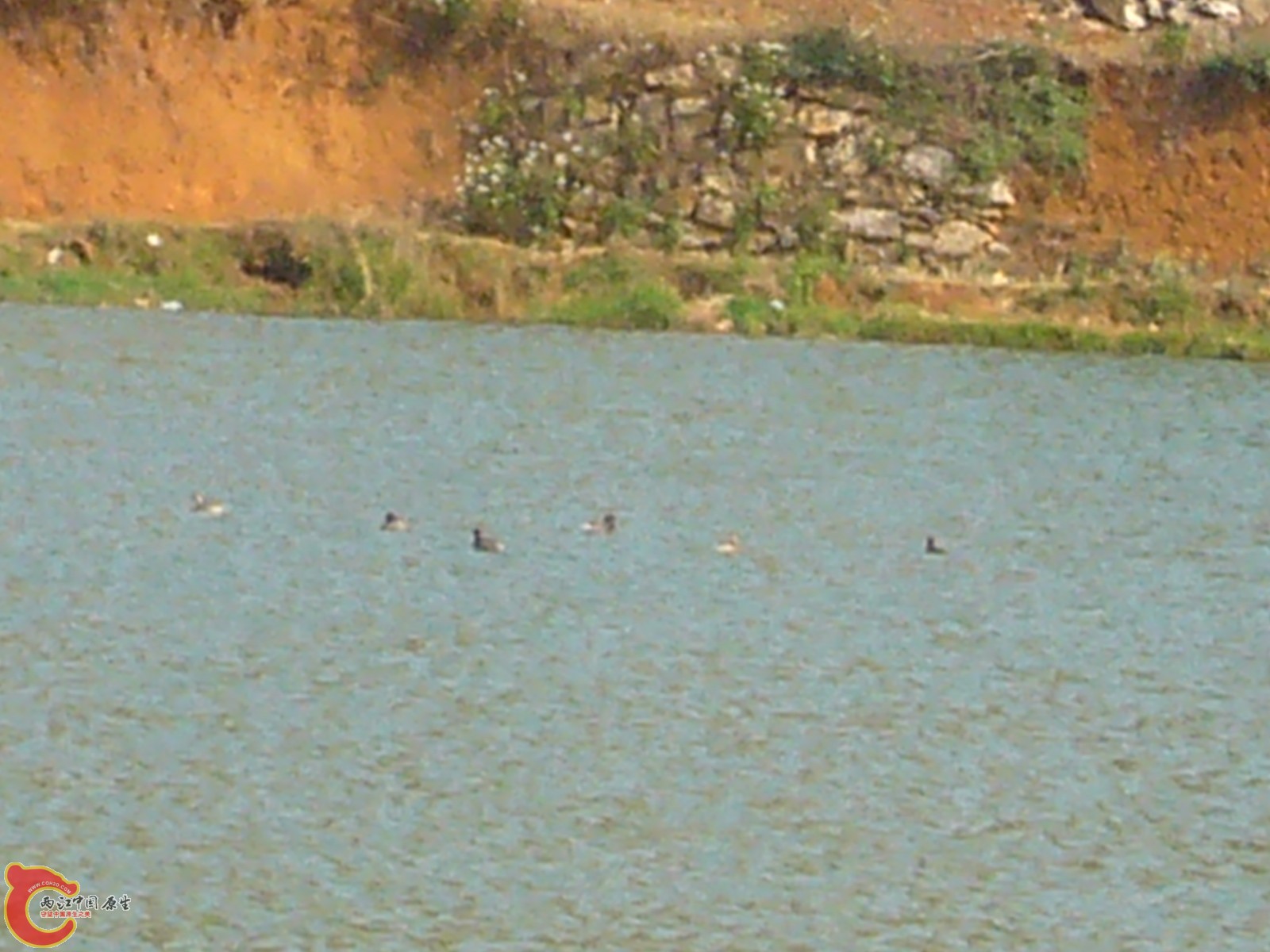 P1100281.JPG