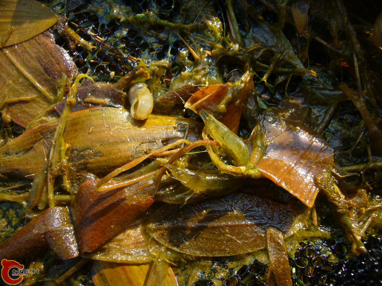 P1100291.JPG