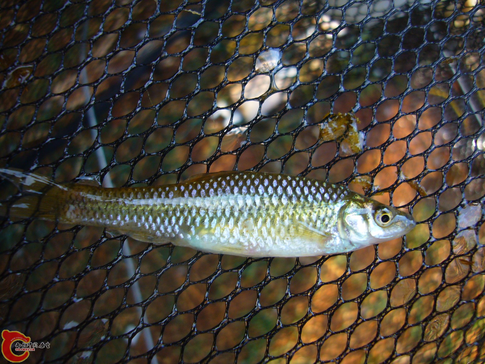 P1100298.JPG