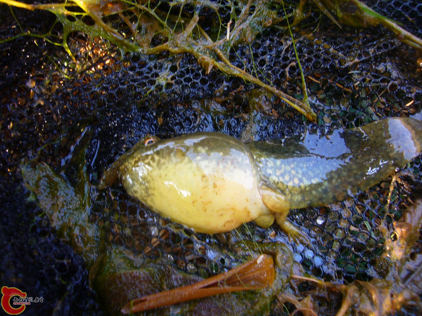 P1100301.JPG