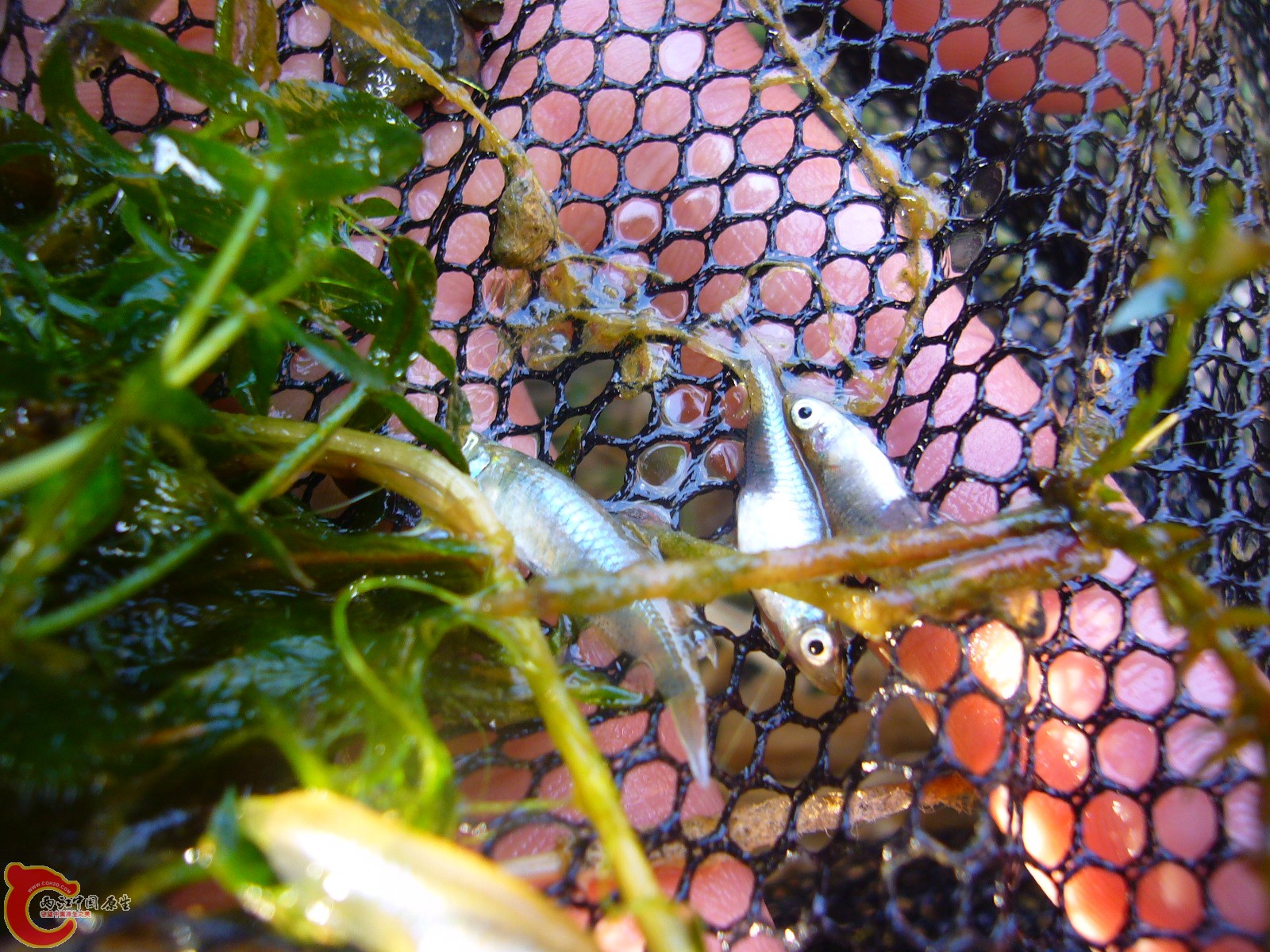 P1100311.JPG