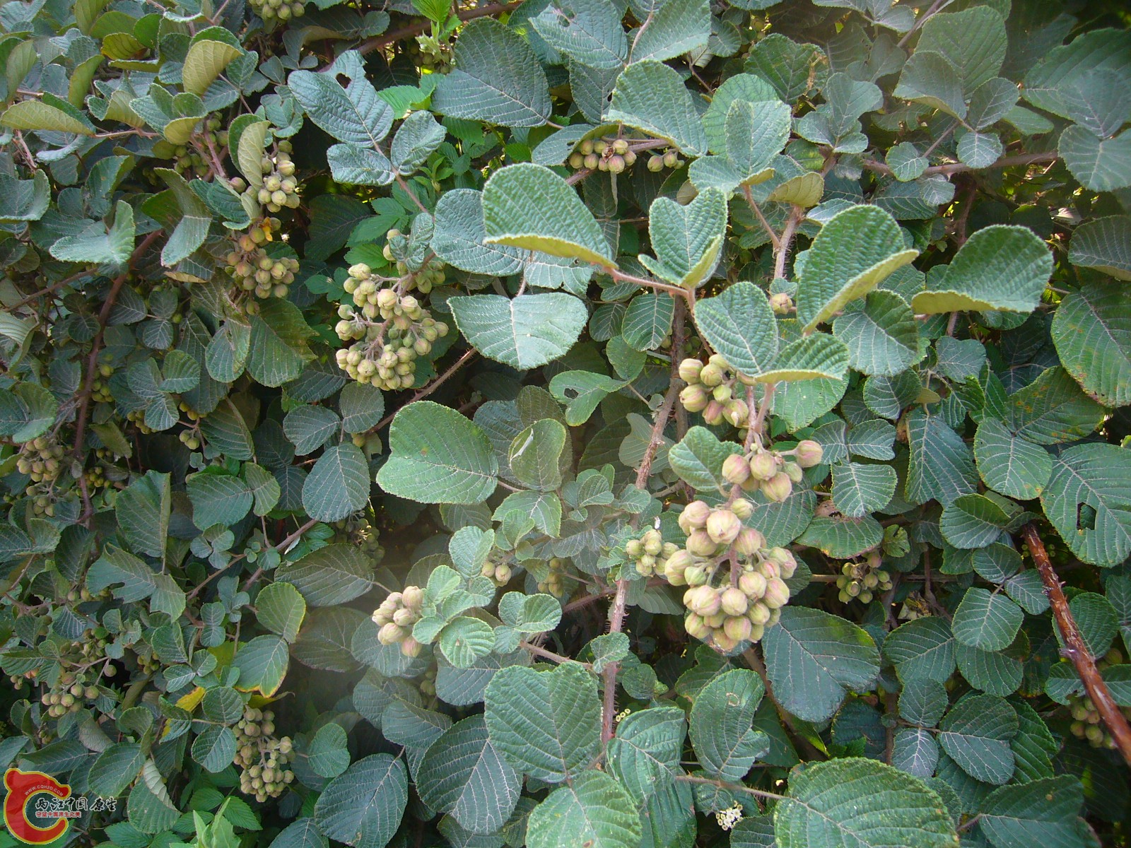 P1100304.JPG