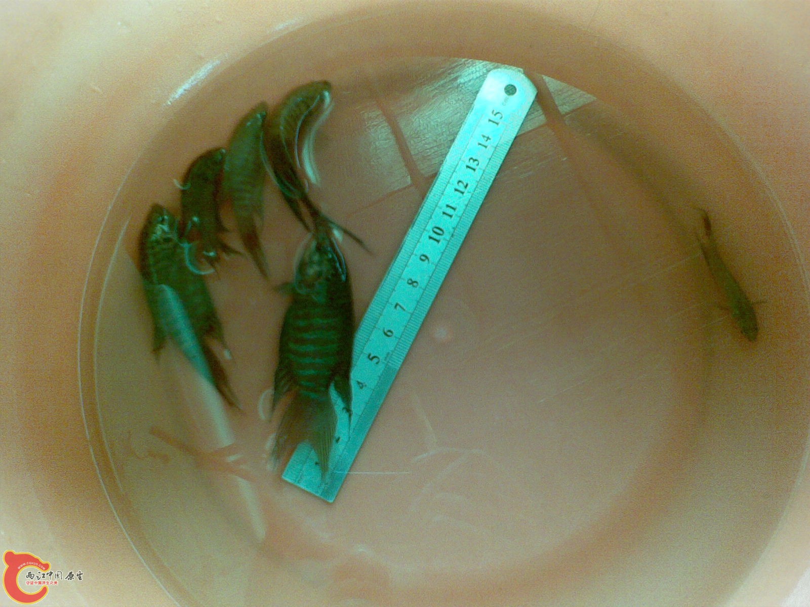 20120318_010.jpg