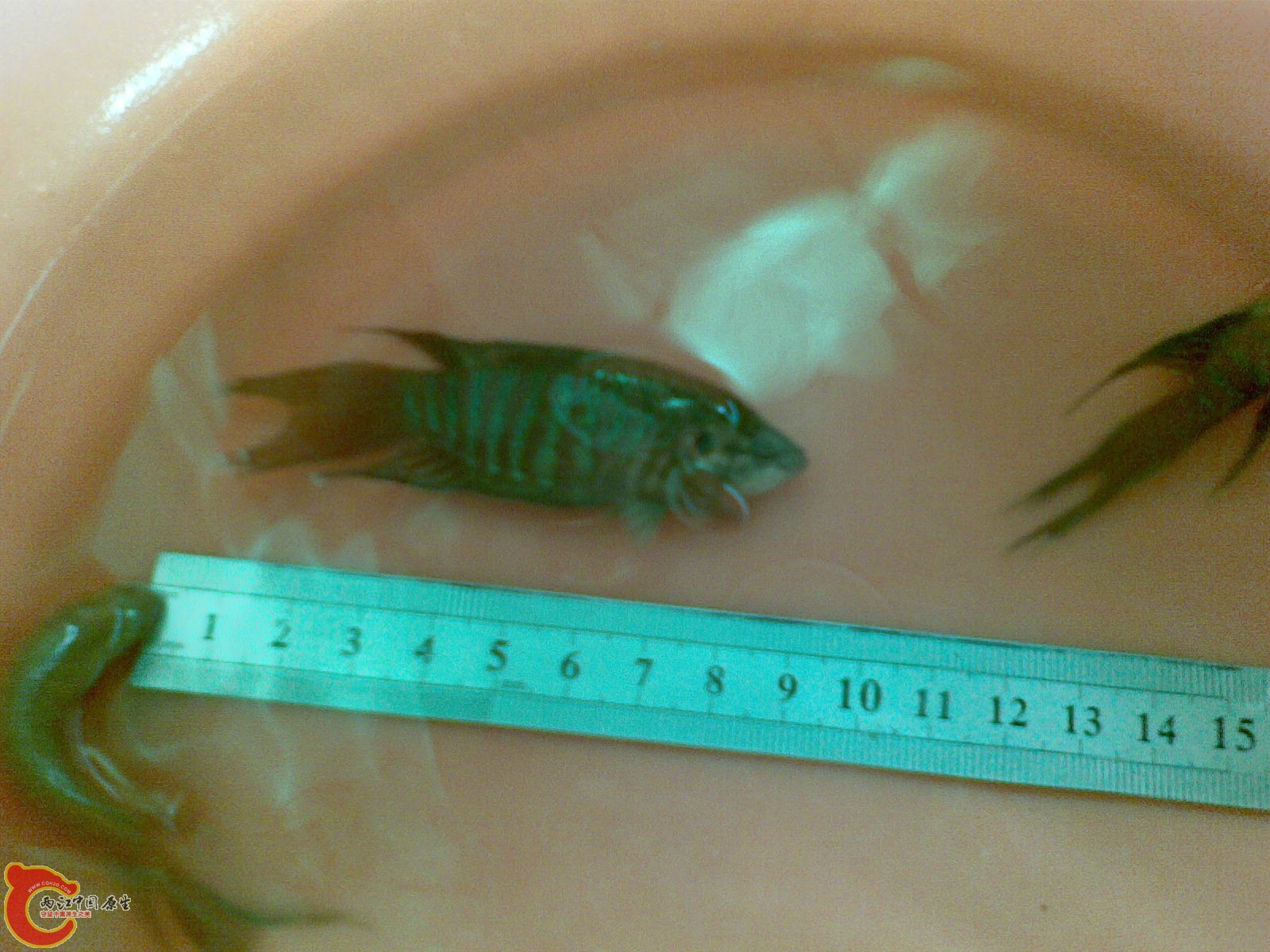 20120318_005.jpg