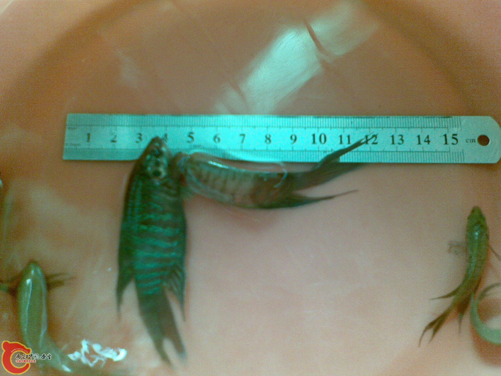 20120318_006.jpg