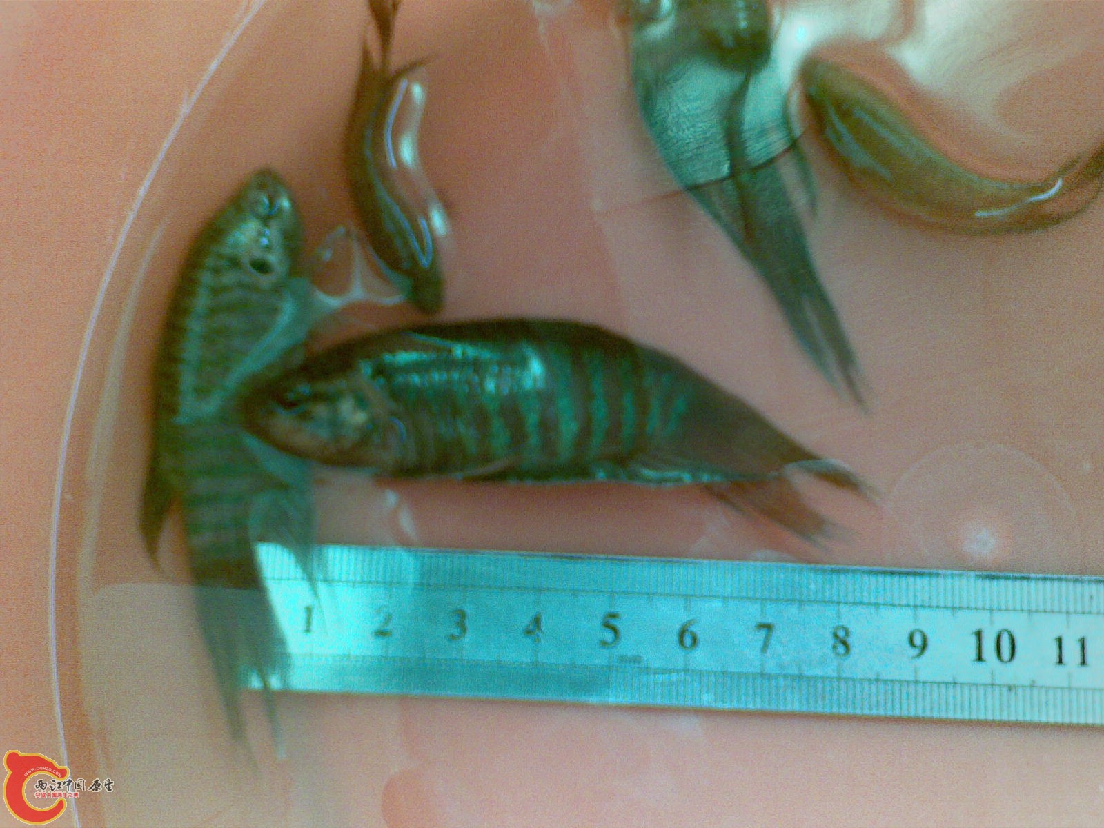 20120318_007.jpg