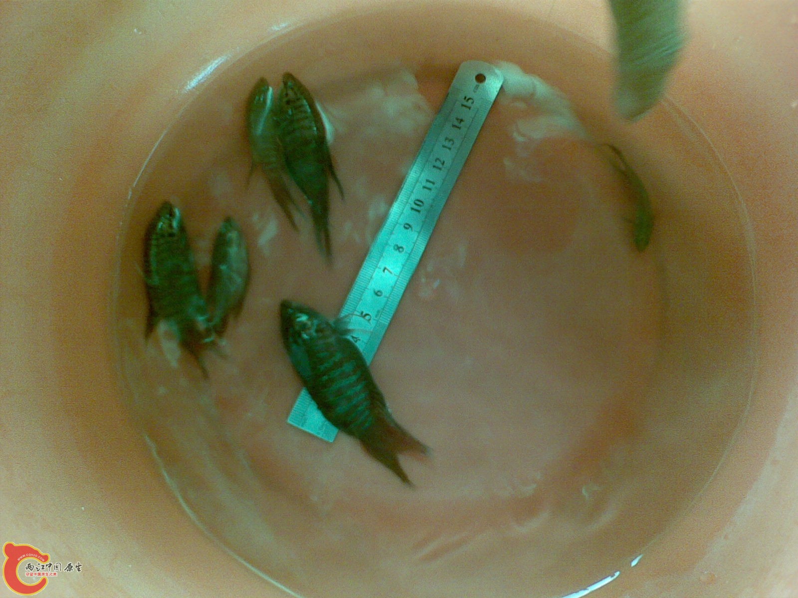 20120318_008.jpg