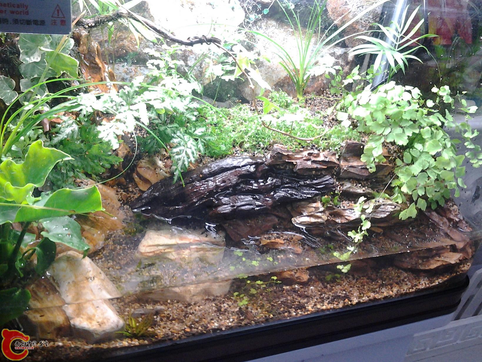 2012-03-17 18.57.09.jpg