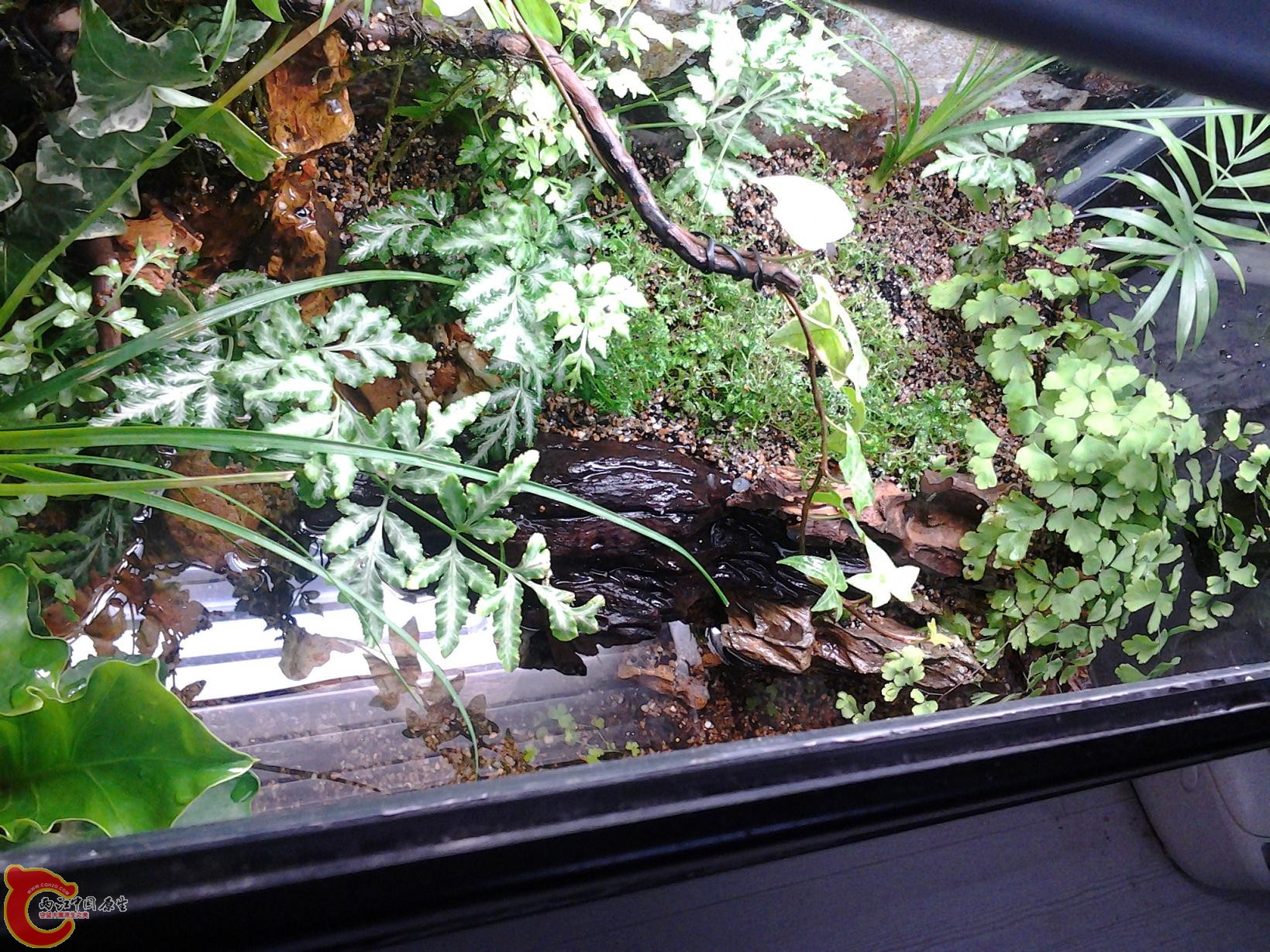 2012-03-17 18.57.50.jpg