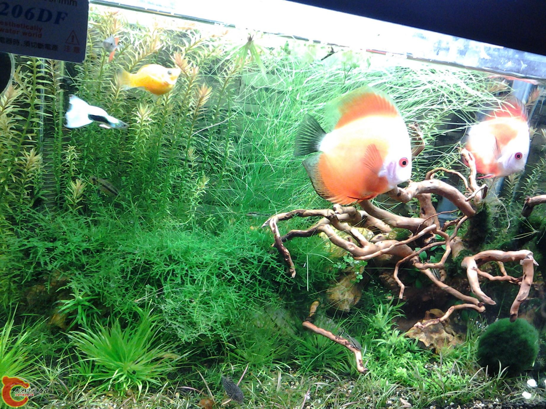 2011-11-23 09.50.01.jpg