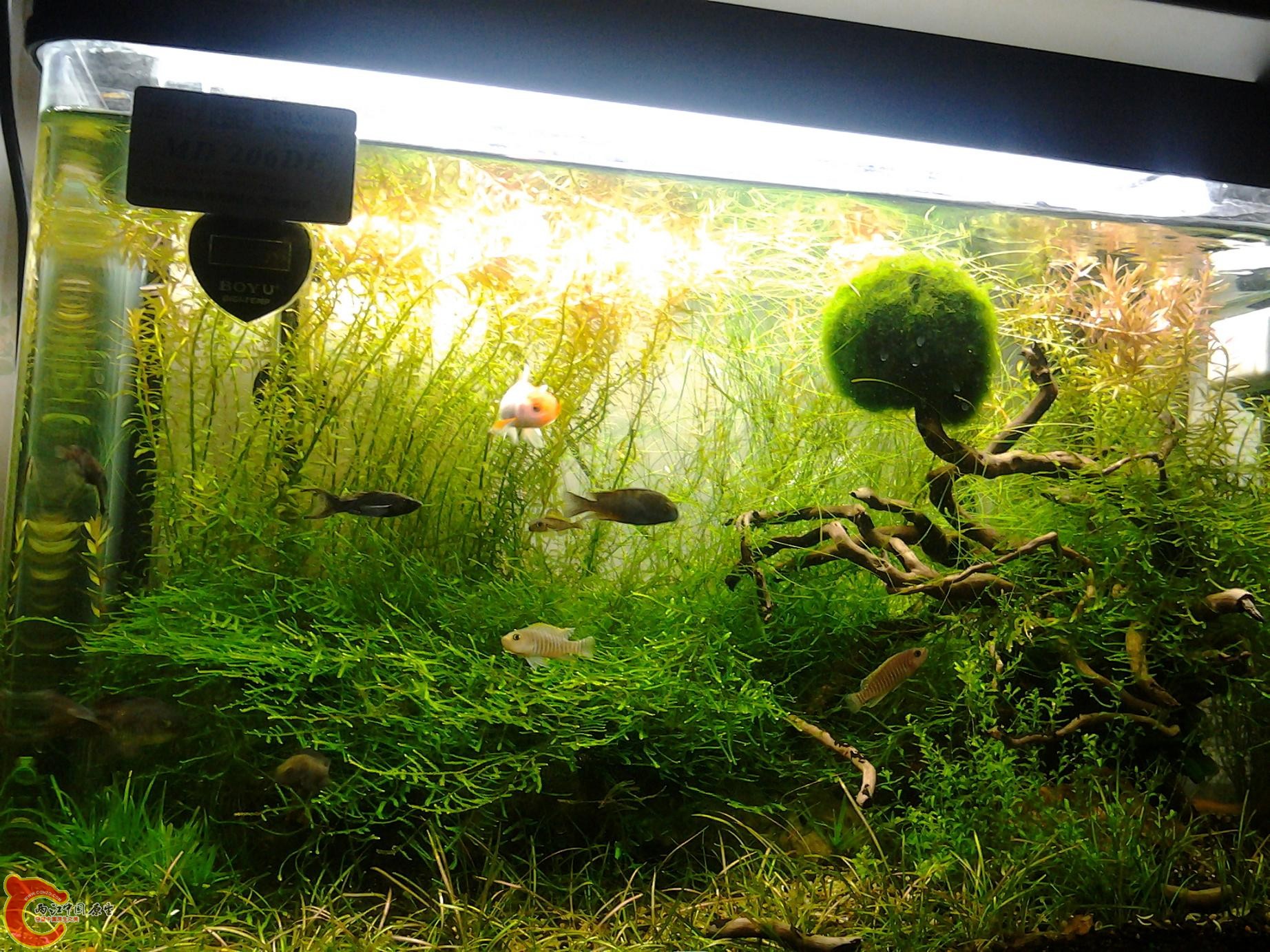 2012-02-27 23.13.26.jpg