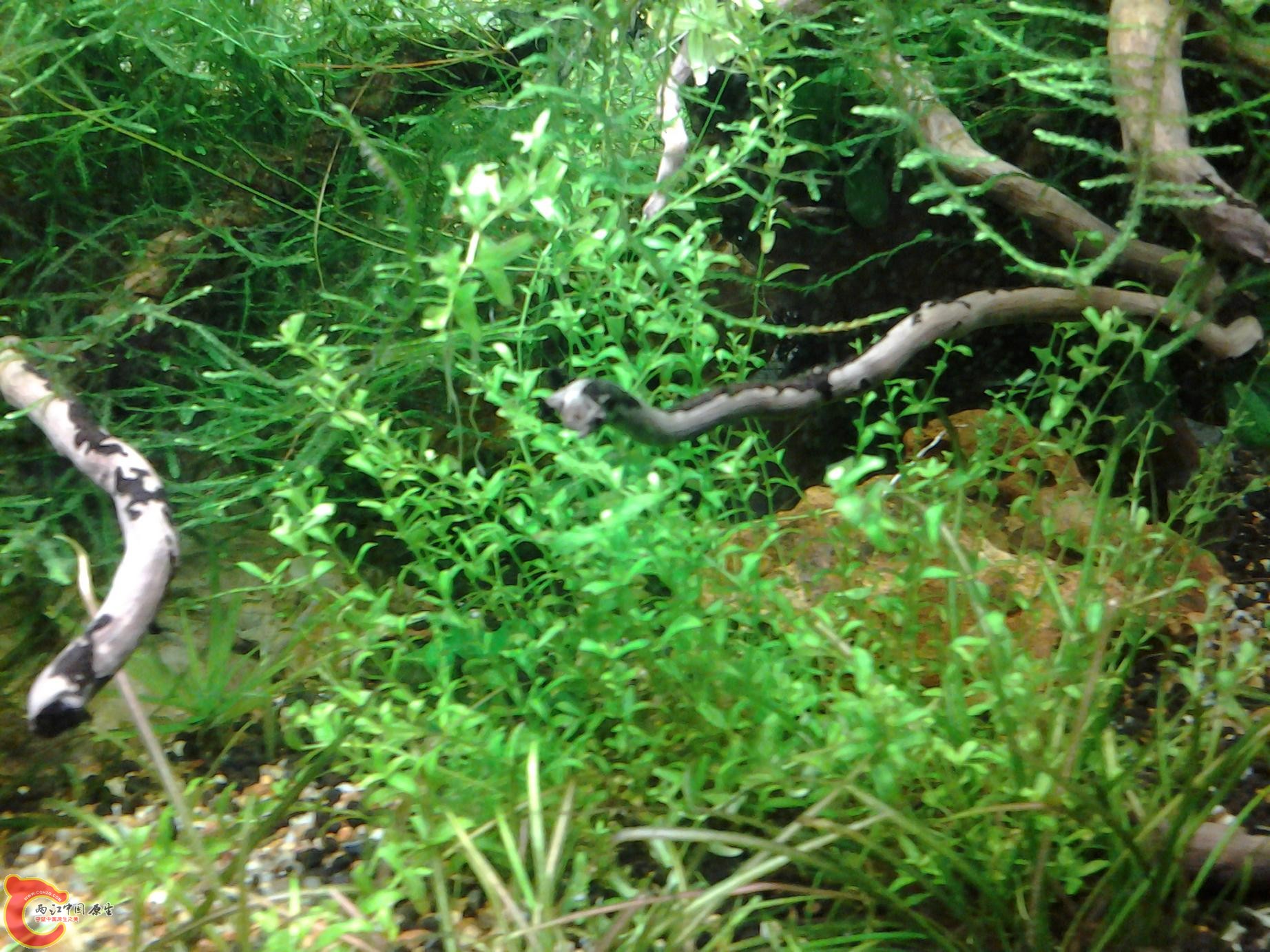 2012-02-28 16.41.14.jpg