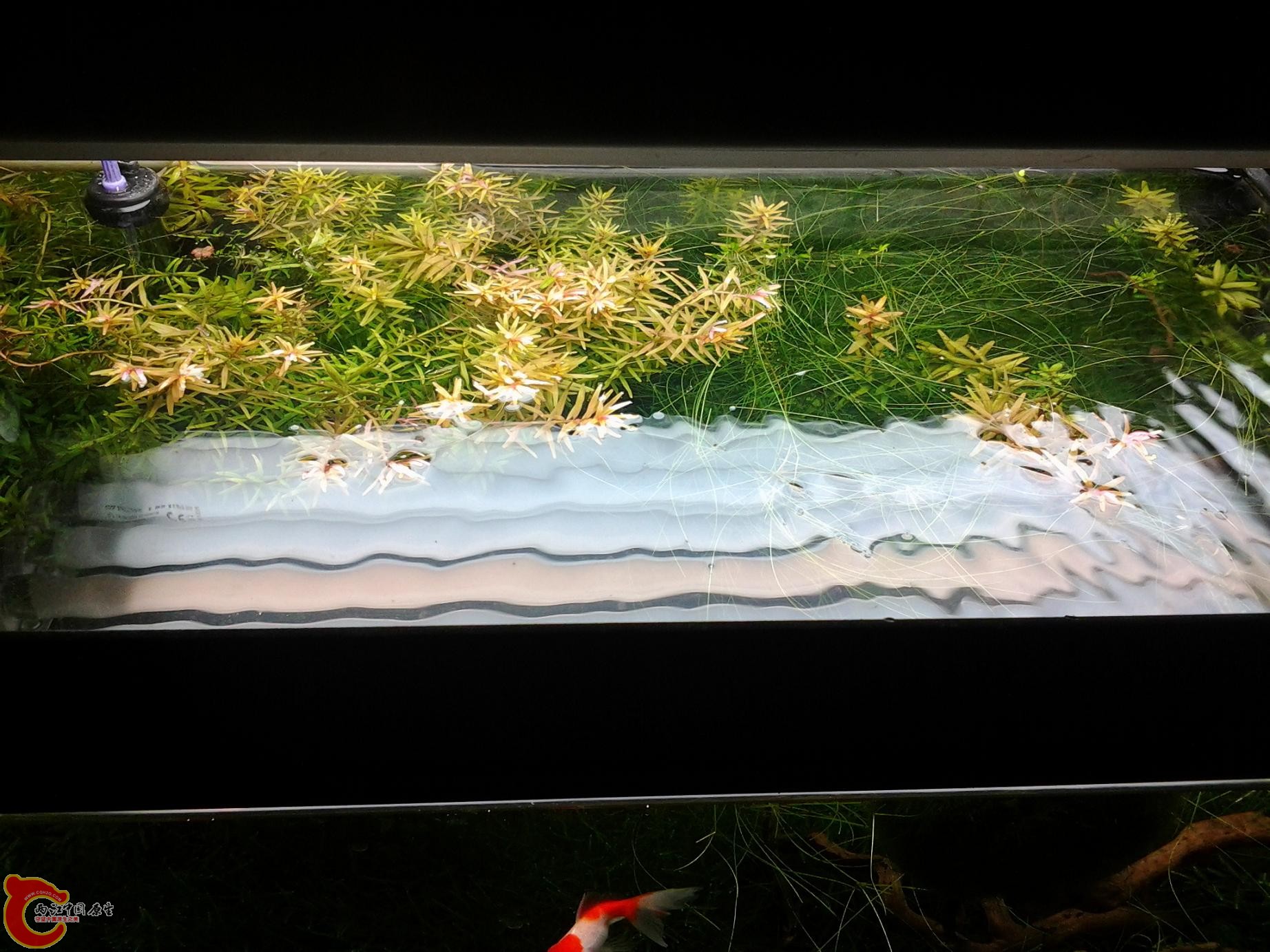 2012-02-28 16.42.20.jpg