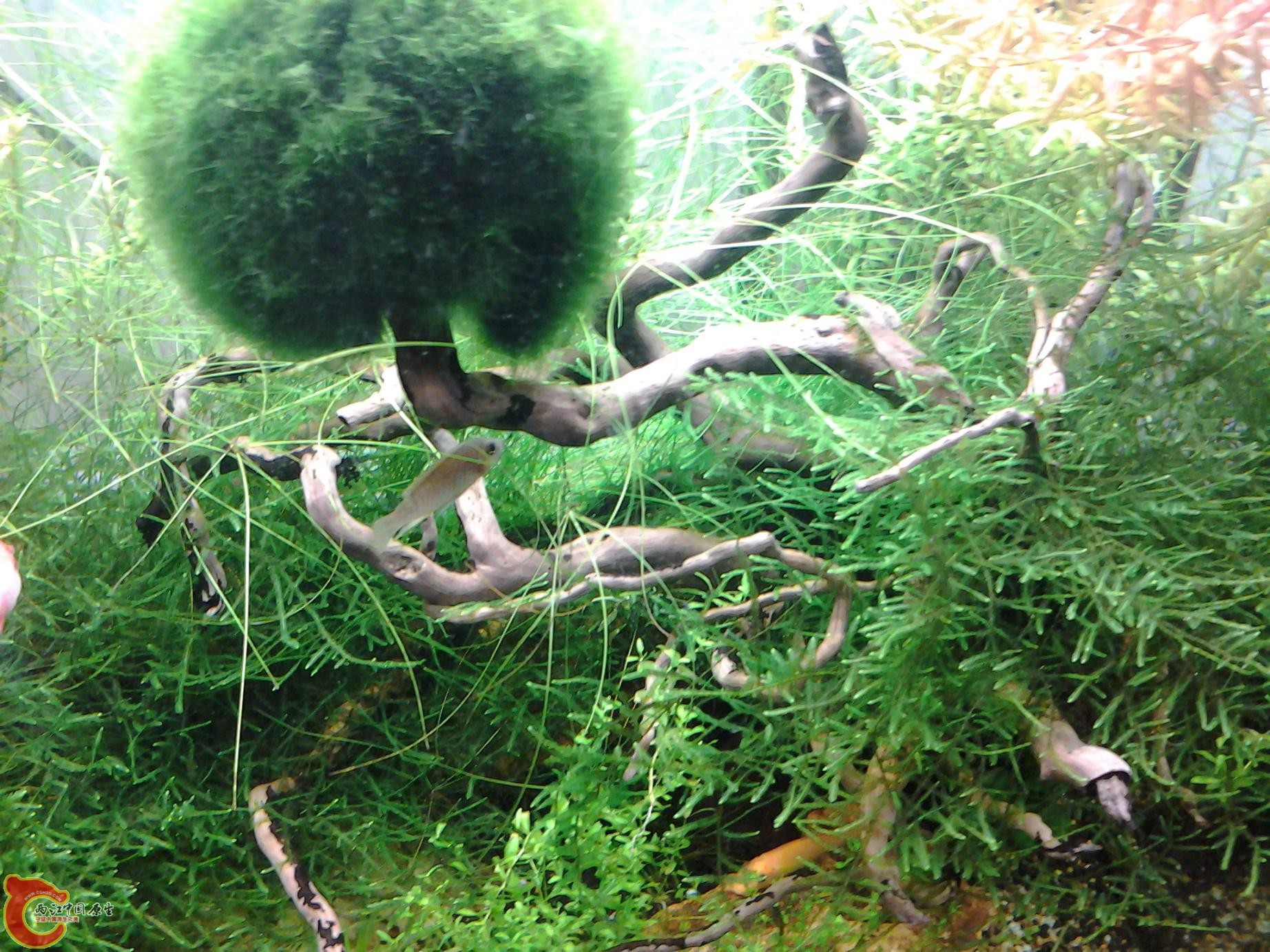 2012-02-28 16.42.54.jpg