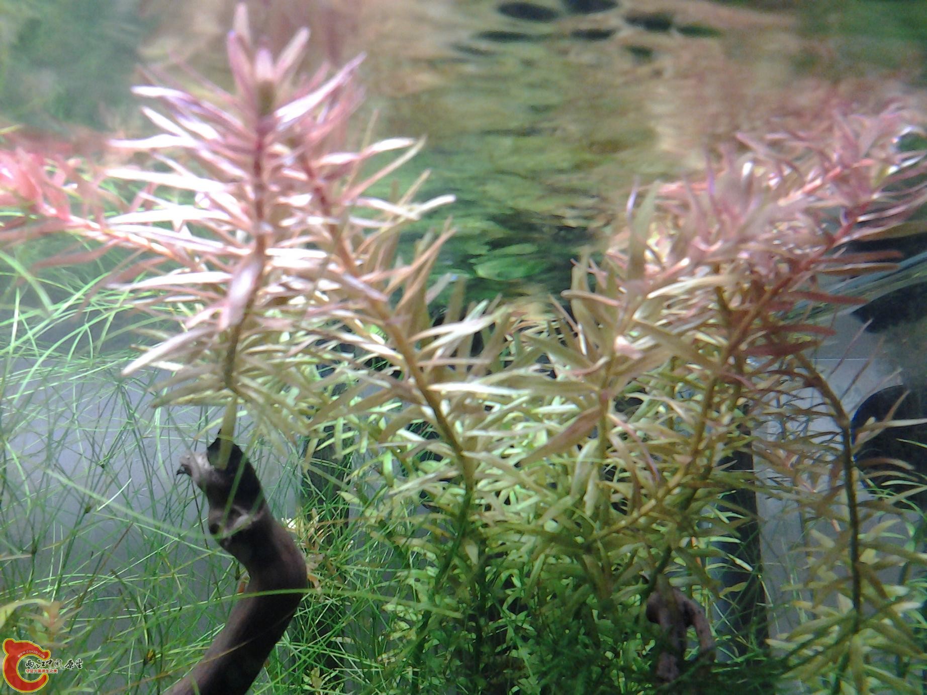 2012-03-01 18.28.09.jpg