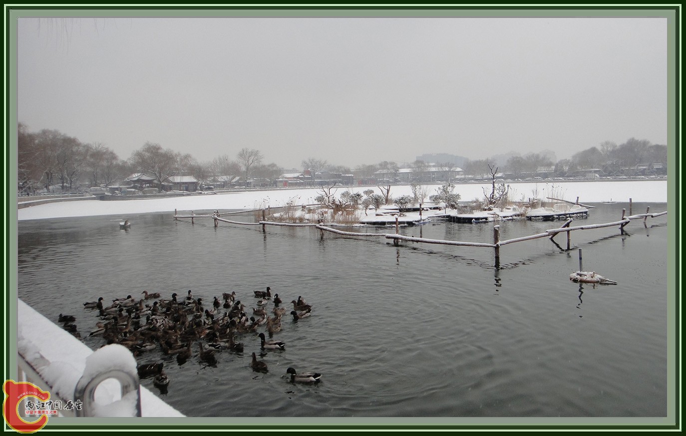 DSC02785b.JPG