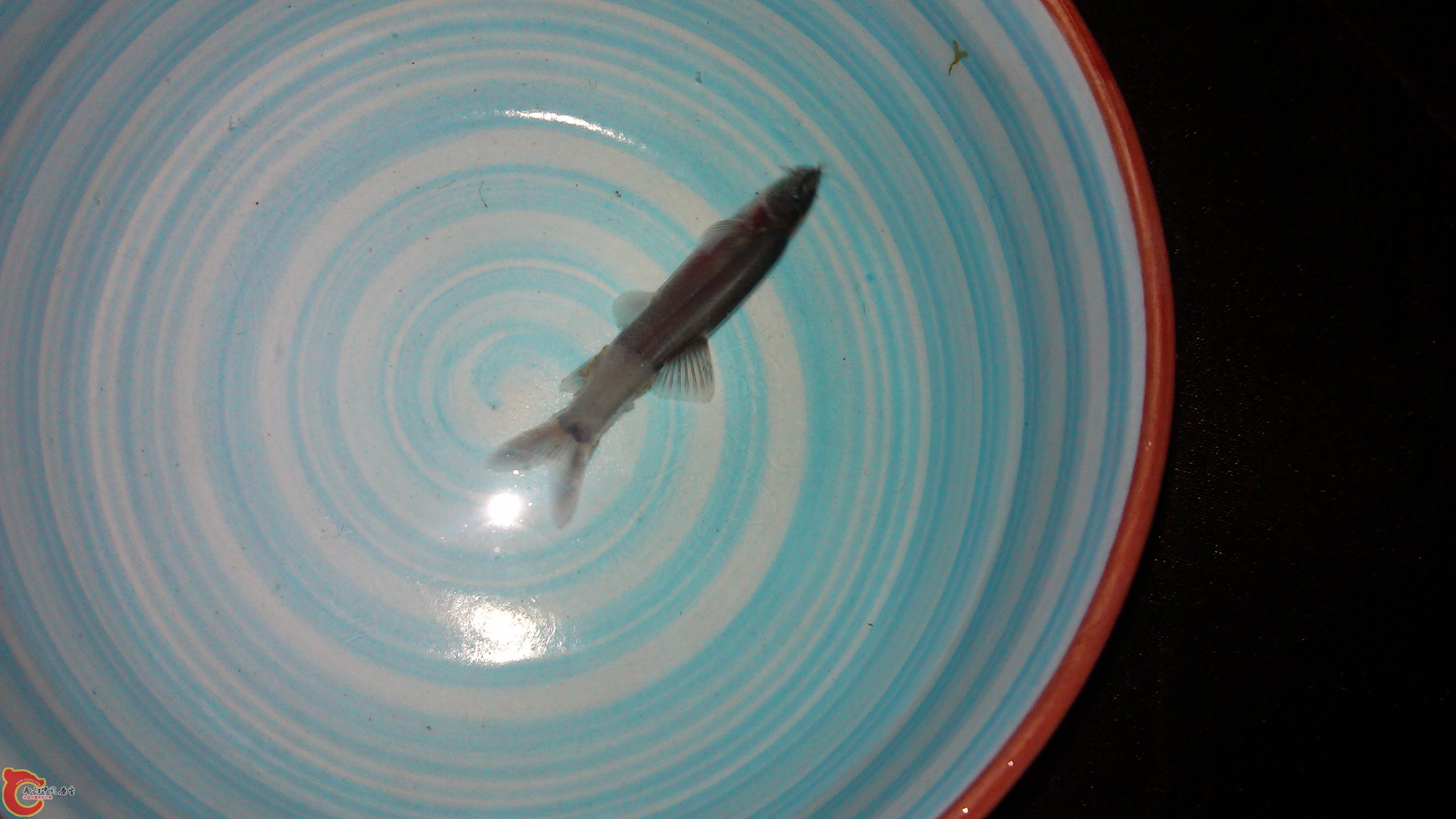 C360_2012-01-08-12-00-18_org.jpg