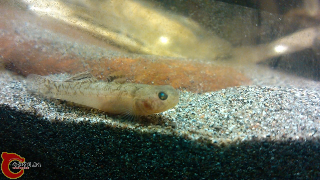 C360_2012-03-14-20-43-03.jpg
