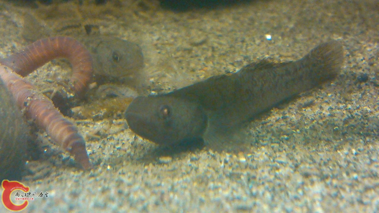 C360_2012-03-14-20-46-15.jpg