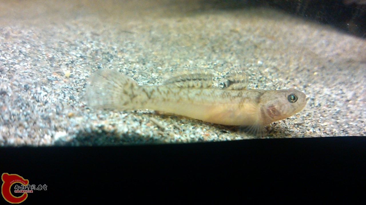 C360_2012-03-14-20-44-26.jpg