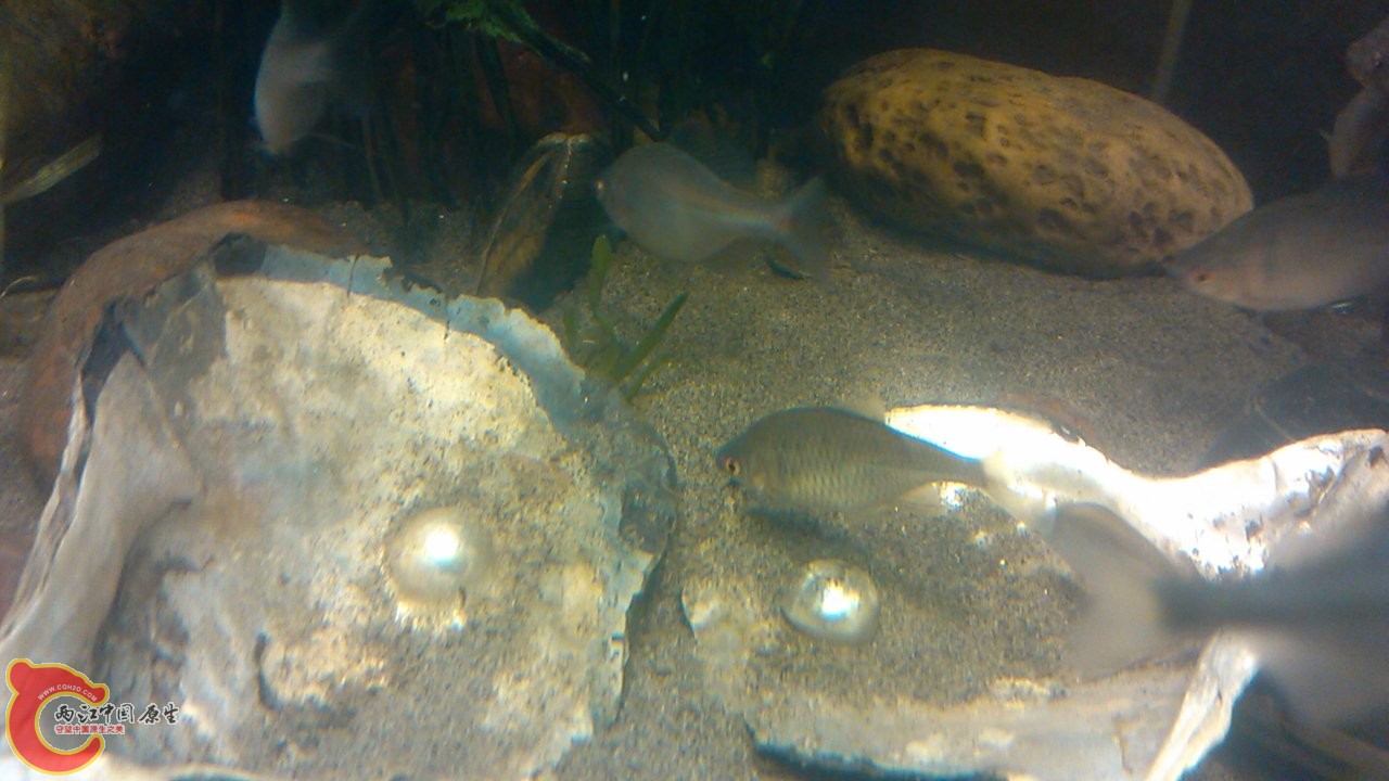 C360_2012-03-14-20-51-57.jpg