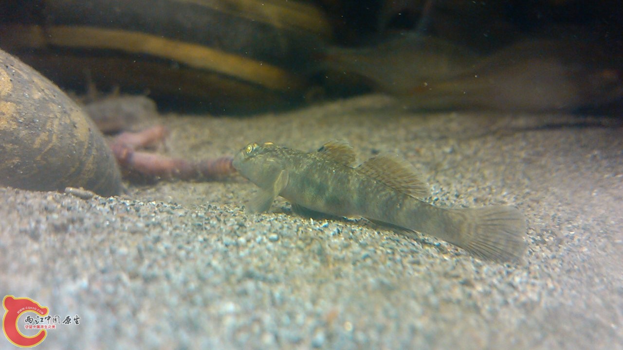 C360_2012-03-14-20-56-04.jpg
