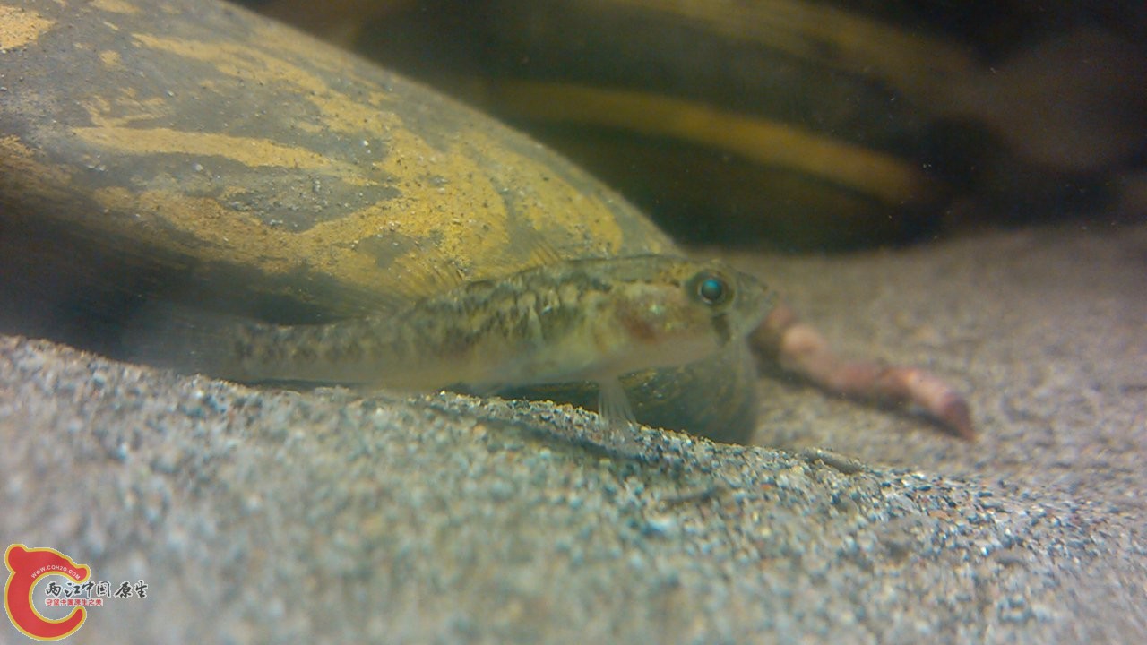 C360_2012-03-14-20-55-07.jpg