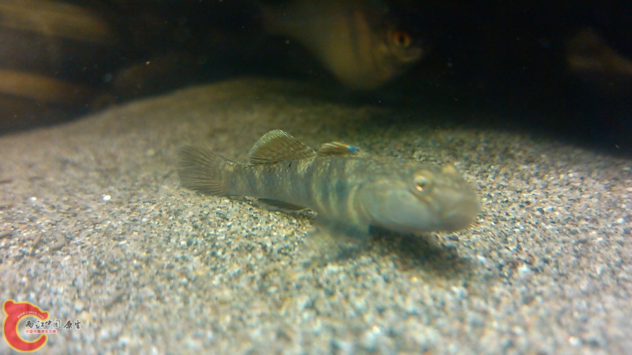 C360_2012-03-14-20-55-43.jpg
