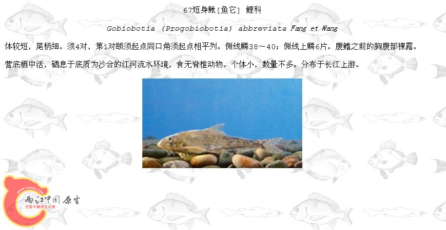 QQ截图20120319194130.jpg