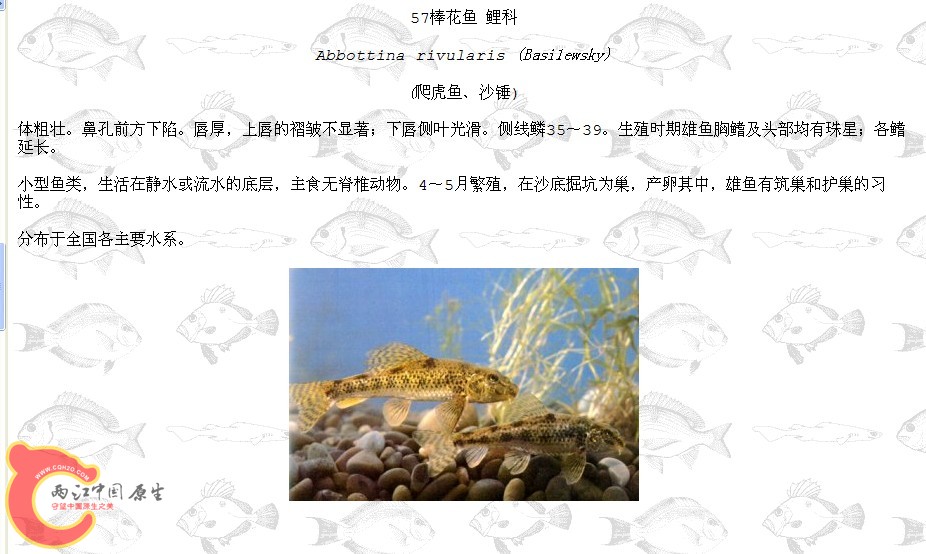 QQ截图20120319194141.jpg