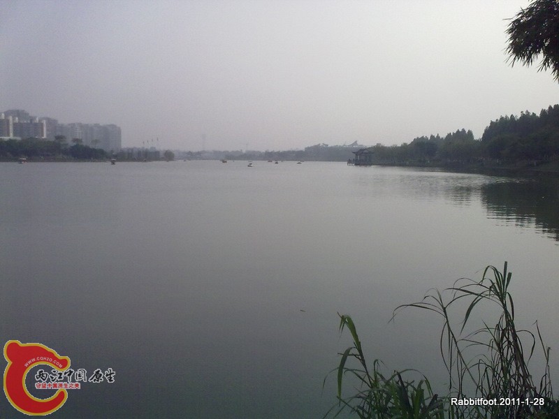 20120128396.jpg