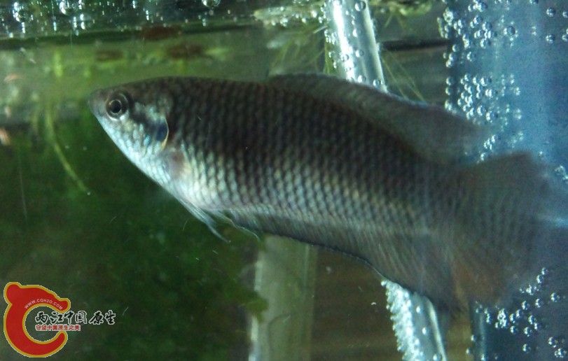 万青哥！手机修好了0 0！发现QQ里没你好友了0 0！