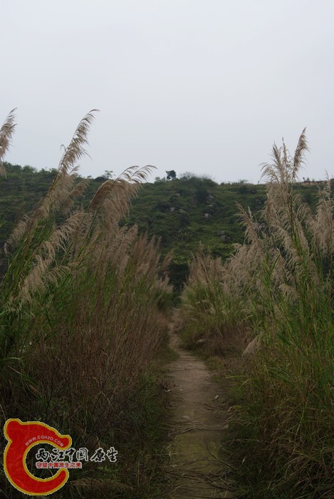 02.jpg