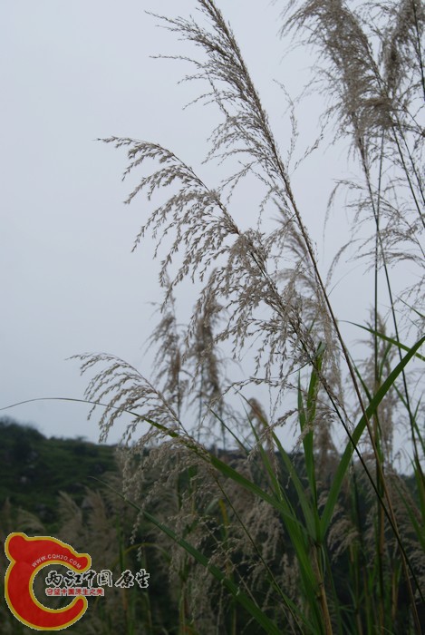 03.jpg
