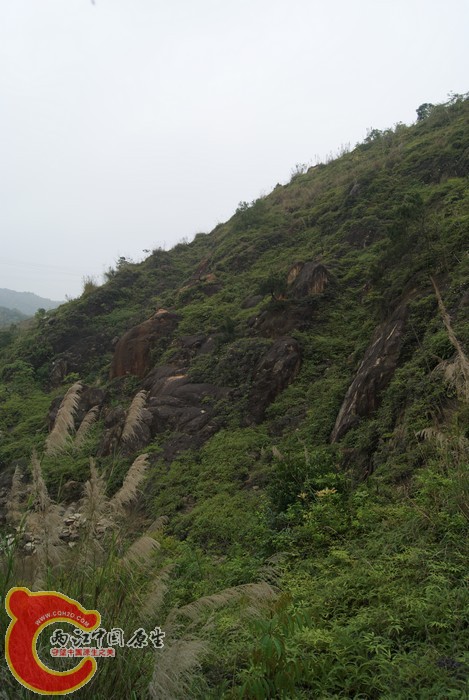 06.jpg