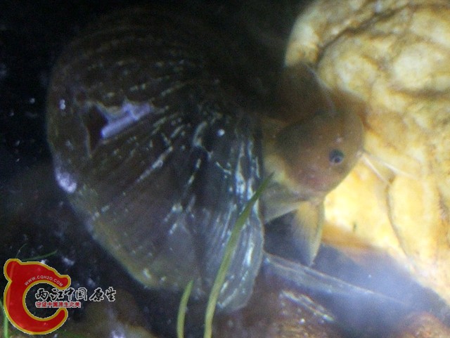 DSCF3024.jpg