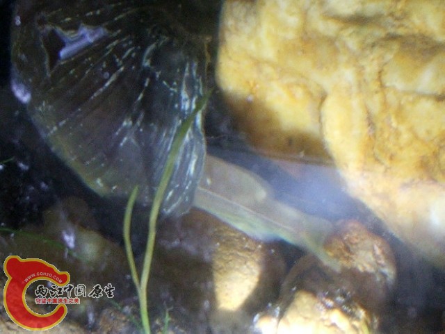 DSCF3025.jpg