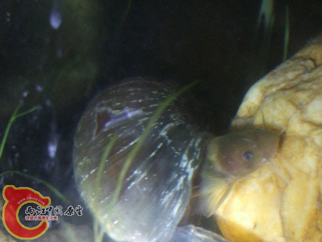 DSCF3034.jpg