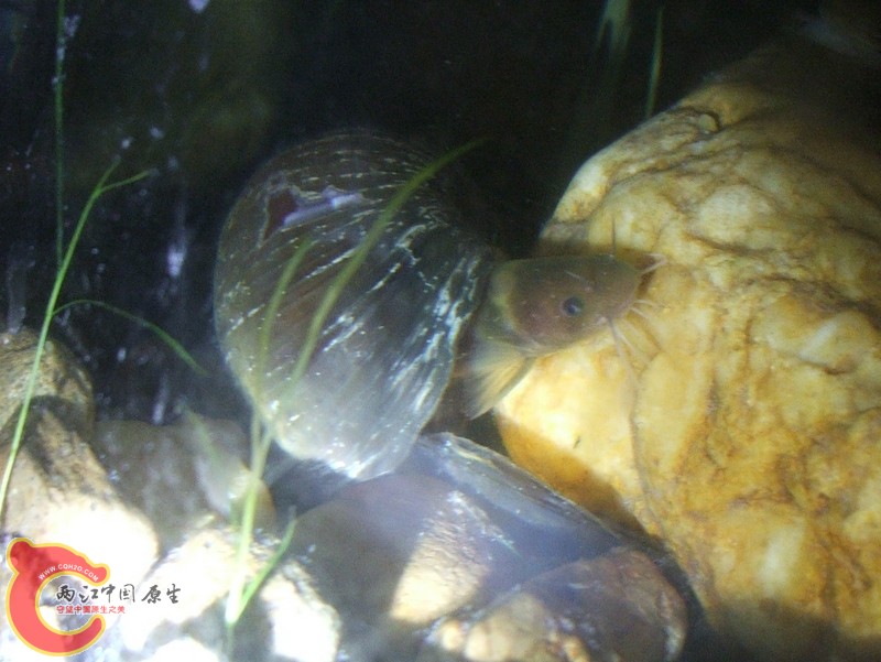DSCF3039.jpg