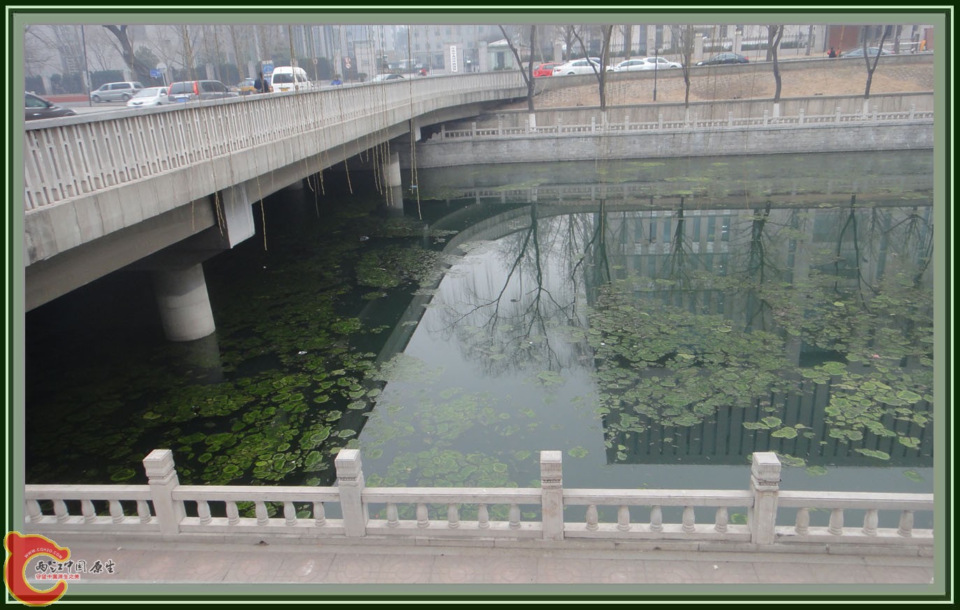水哗 (1).JPG