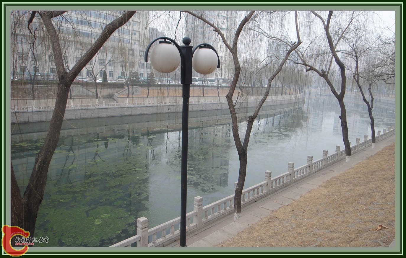 水哗 (4).JPG