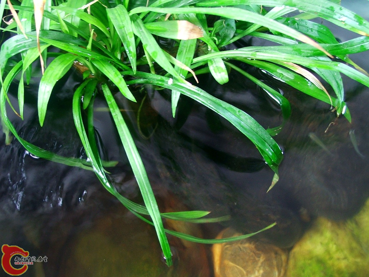 DSCF3096.jpg