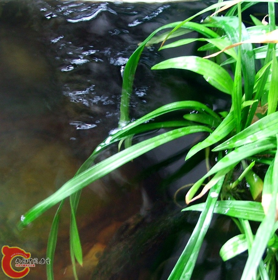 DSCF3088.jpg