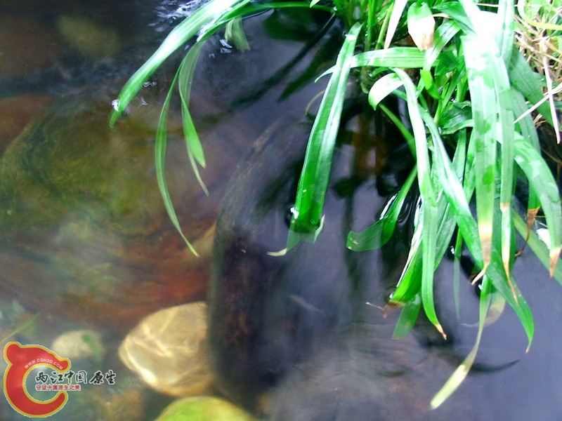 DSCF3089.jpg