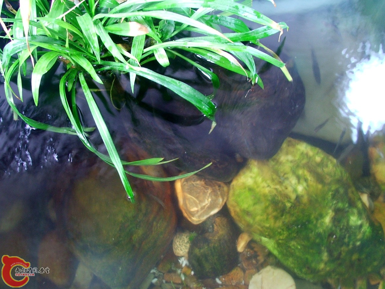 DSCF3094.jpg