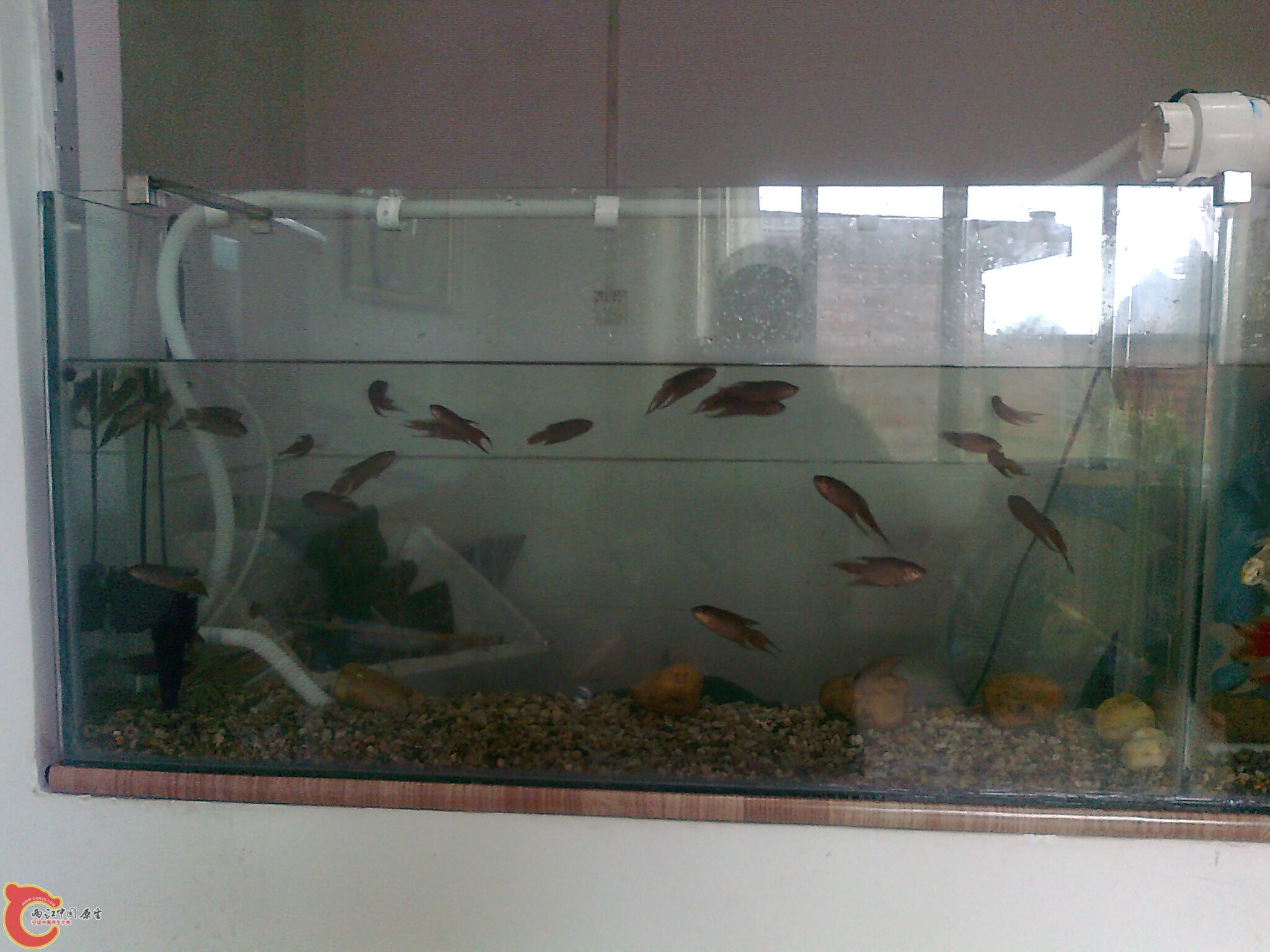 照片0469.jpg