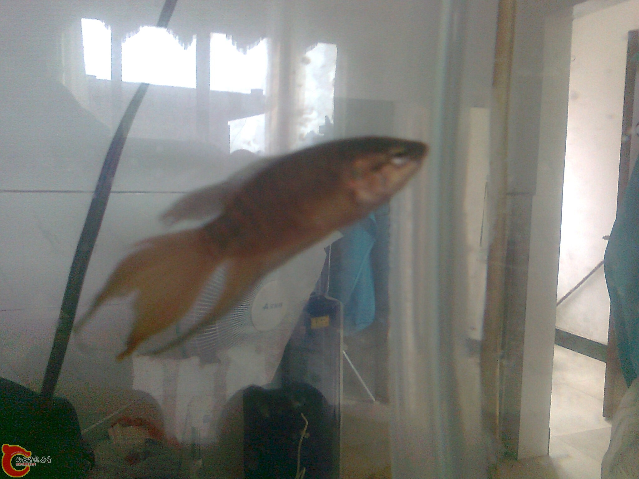 照片0473.jpg