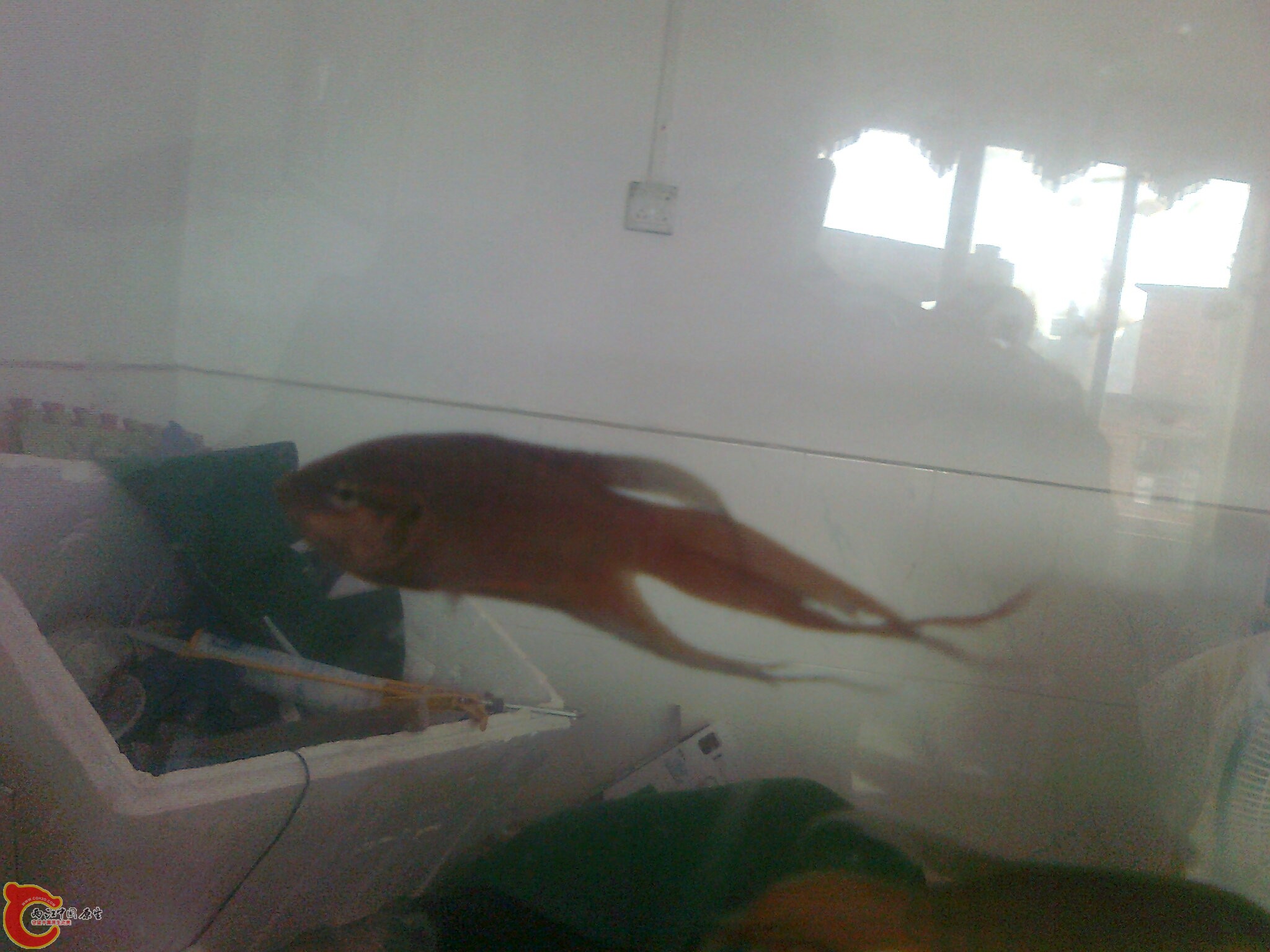照片0474.jpg